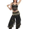 Salome' -Party Costume Store 3145 SALOME