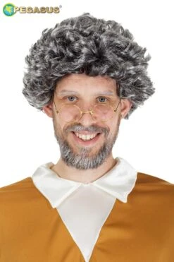 Parrucca Mastro Geppetto / Nonnino
