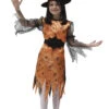 Strega Ragnatela Arancio Di Halloween -Party Costume Store H7127 1