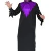 Demone Laminato Viola -Party Costume Store H8506 D201