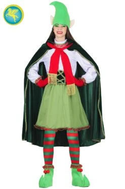 Elfo Donna Di Babbo Natale Professionale