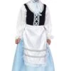 Popolana Celeste -Party Costume Store N7032 F